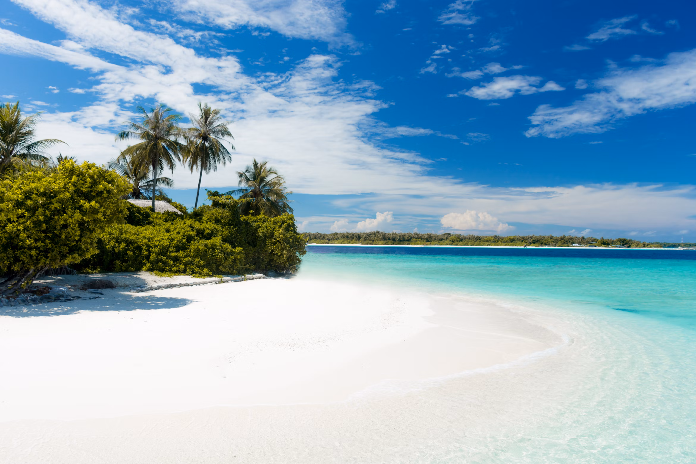 Tropical island paradise